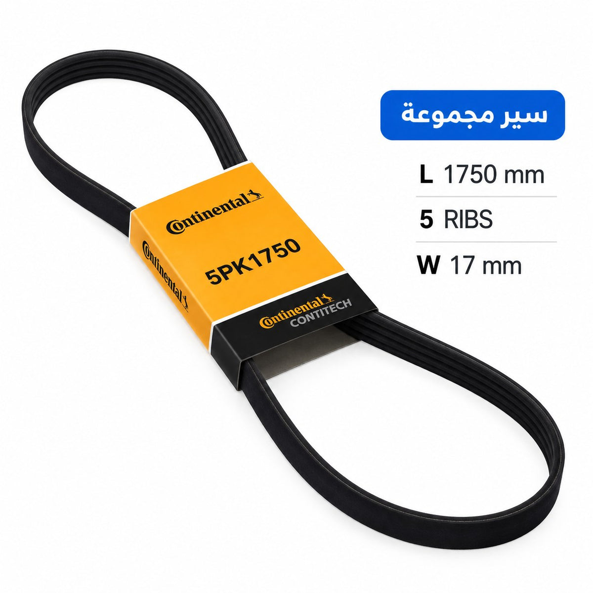 ContiTech Drive Belt – Logan 1.4 1.6 from 2004, Sandero from 2008 and other models – 5 ribs, 1750 mm – 5PK1750