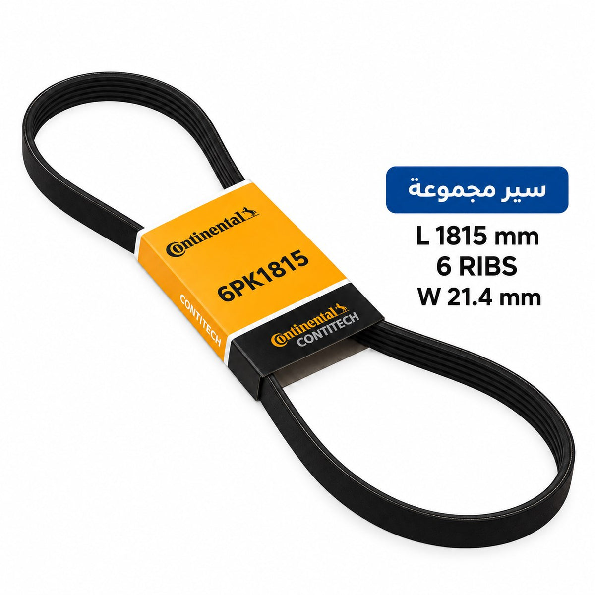 ContiTech Drive Belt – Fiat Doblo 1.9 JTD from 2001, Dacia Logan 1.6 2006 – 6 ribs, 1815 mm – 6PK1815
